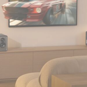 Parlante Edifier T5s subwoofer negro